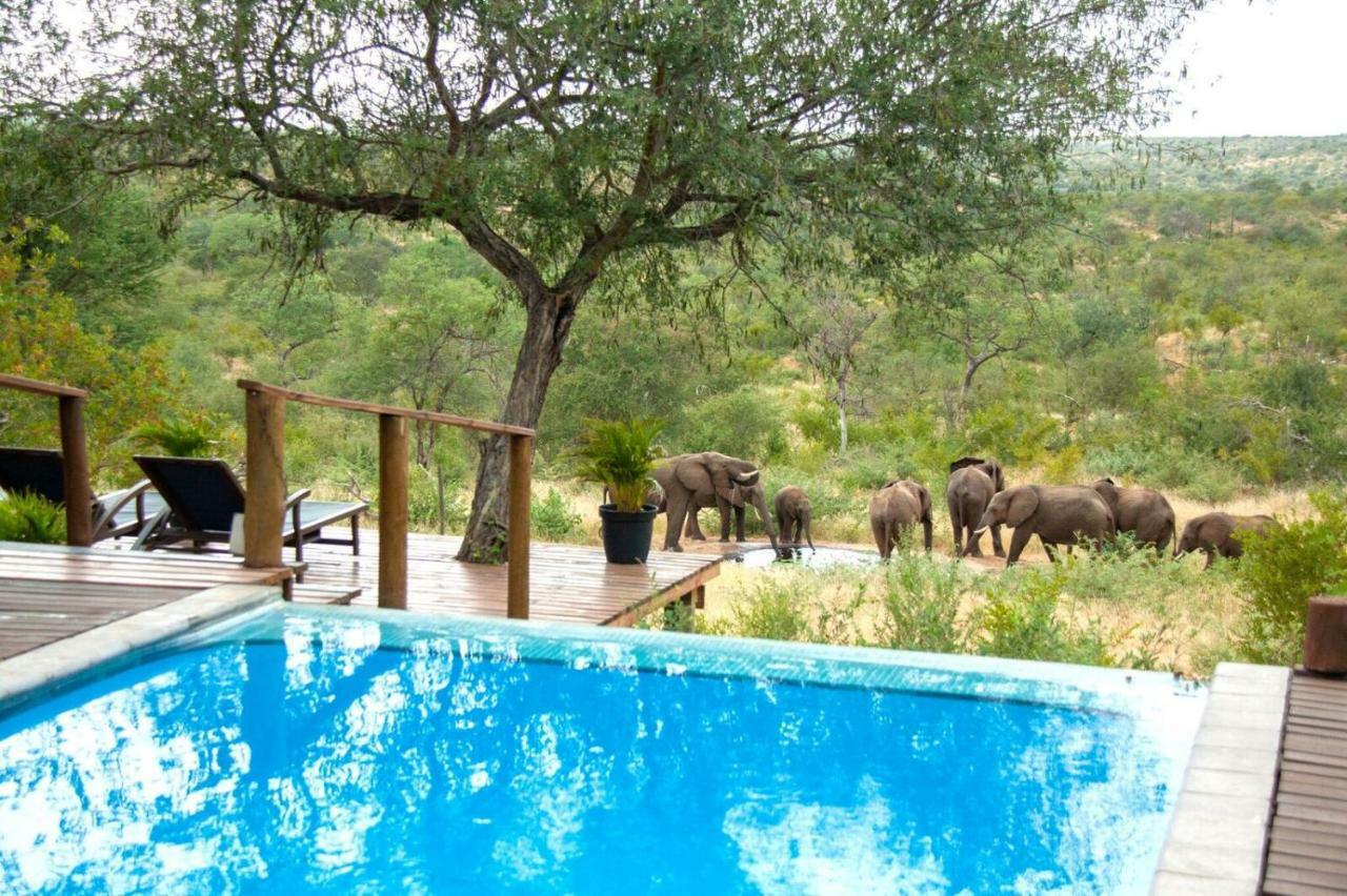 Casart Game Lodge Grietjie Game Reserve 외부 사진